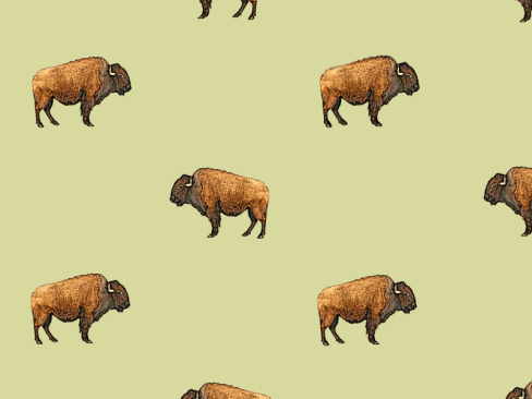 buffalo pattern