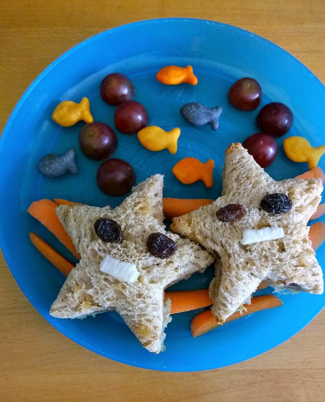 Star fish fun lunch - cupcakesandwildponies
