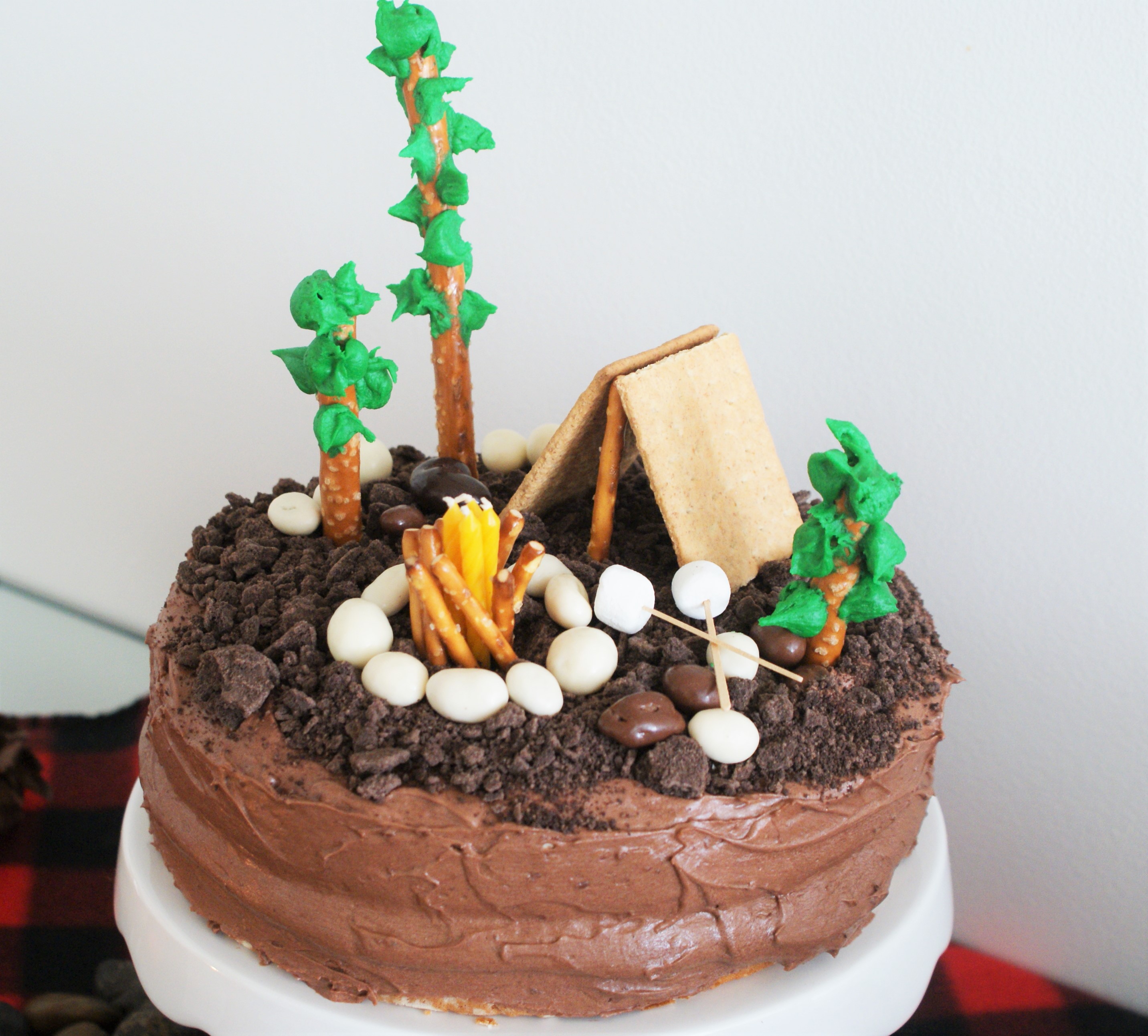 #Camping #cake #birthday #Partytheme -cupcakesandwildponies blog