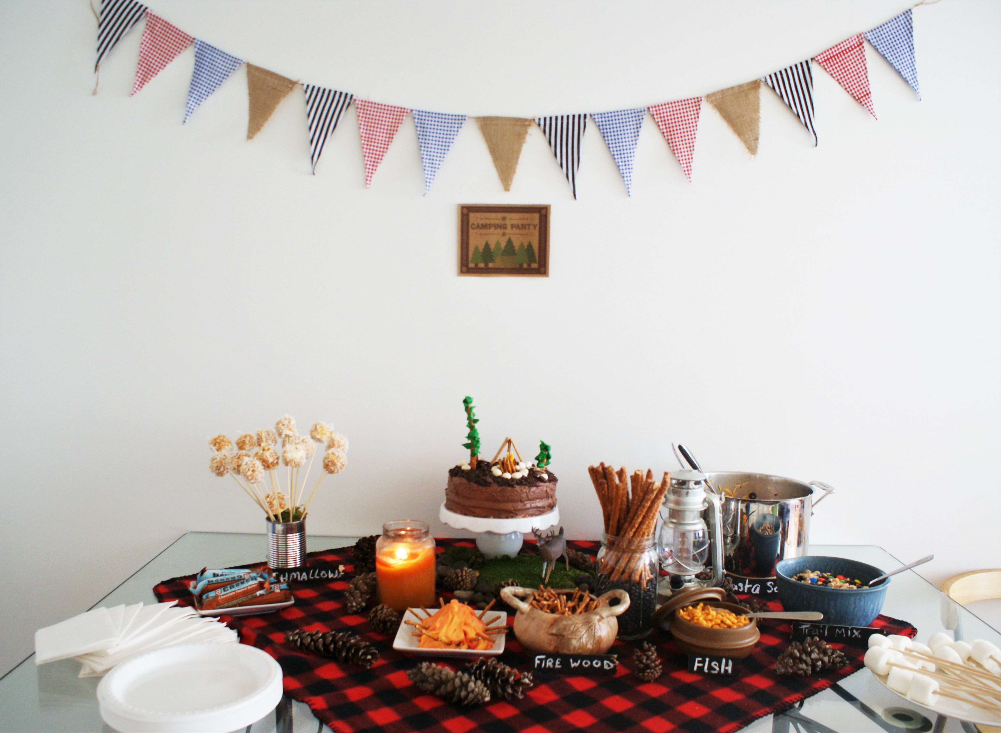 #camping #party #decorate - cupcakesandwildponies blog