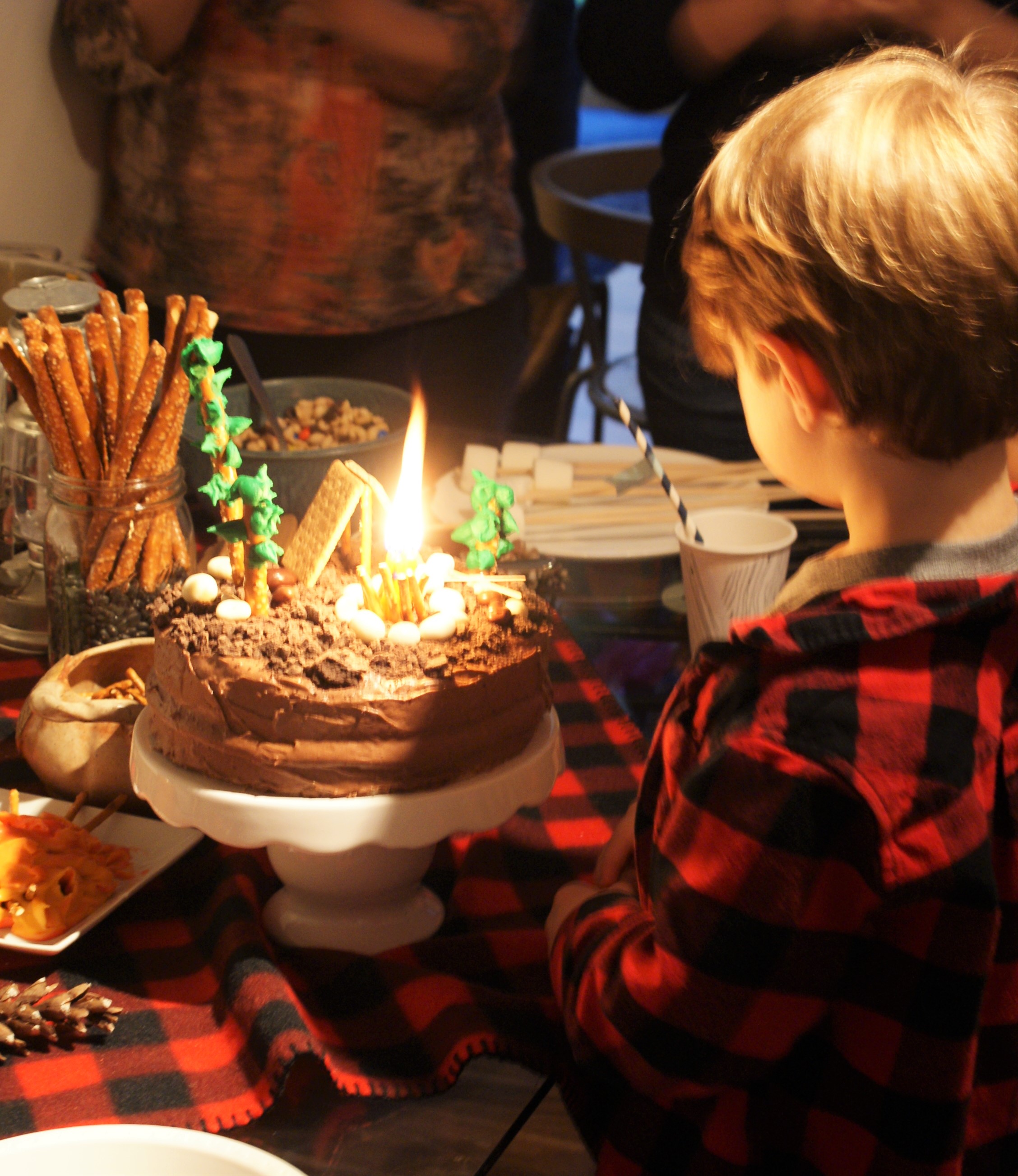 4th #camping birthday party - cupcakesandwildponies blog