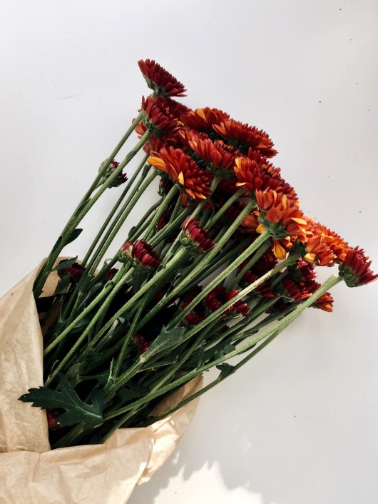 Fall flowers #fallcolor #rust-color #fall #flowers