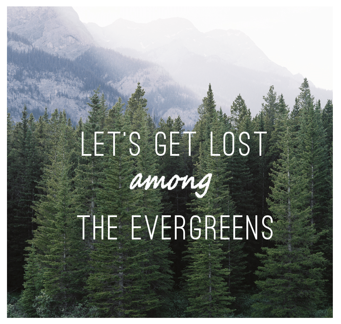 Let's Get Lost Among the Evergreens #letsgetlost #wilderness #quotes #wanderlust #evergreen