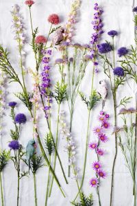 April color of the month: Lavender #purple #color #colorinspiration #designinspiration #wildflowers