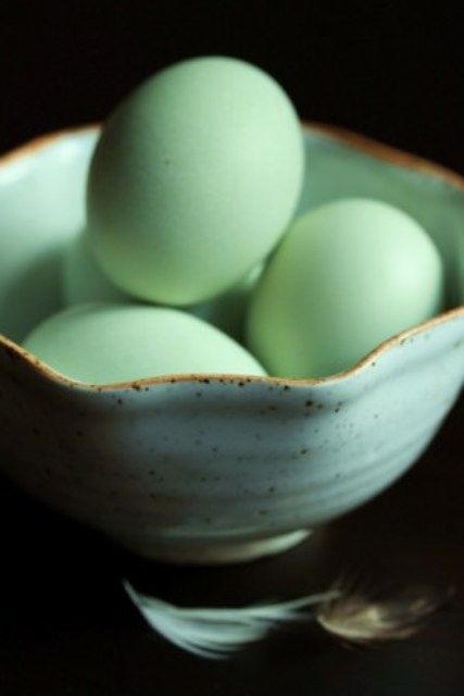 green eggs #greenaesthetic #seafoamgreen