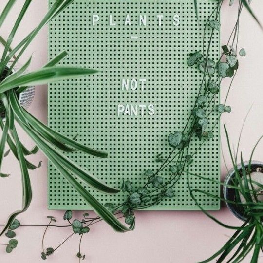 sea foam green letterboard #letterboard #greenaesthetic #seafoamgreen #plantsnotpants